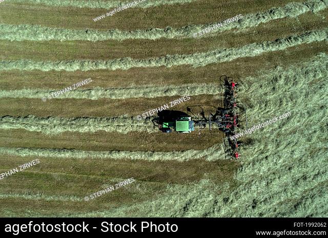 Aerial view tractor harvesting sunny green hay field, Baden-Wuerttemberg, Germany