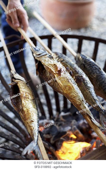 Turning Steckerlfisch skewered fish on barbecue