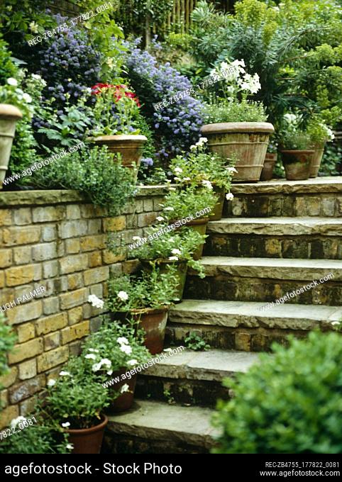 Flowers in pots on brick ledge with steps leading down into garden