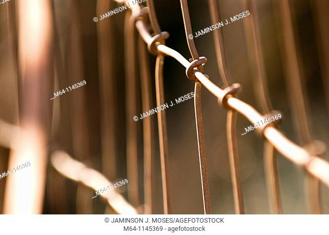 Closeup of wire fence