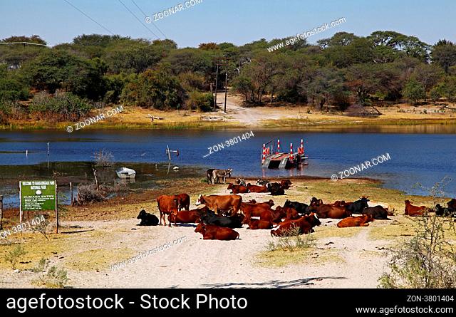 Die Khumaga Fähre am Ufer des Boteti, Makgadikgadi Pans National Park, Botswana; Khumaga ferry at riverside of Boteti at Makgadikgadi Pans National Park