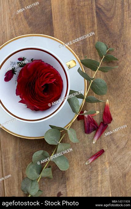 Red ranunculus flower in antique collection cup