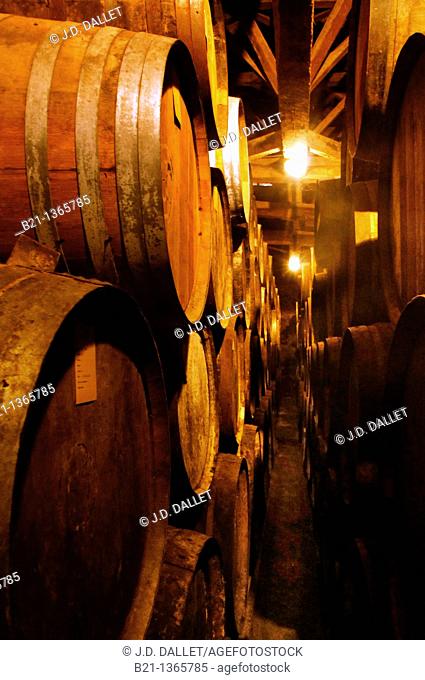 France, Midi Pyrénées, Gers, barrels where the Armagnac is aging at the Tariquet Wines and Armagnac Estate, near Eauze