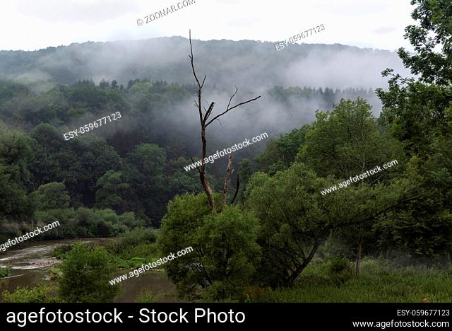 Gloomy landscape with a green forest overrun by mist and a single tree, dry, without leaves stands alone near a small river, in Braunsbach, Germany