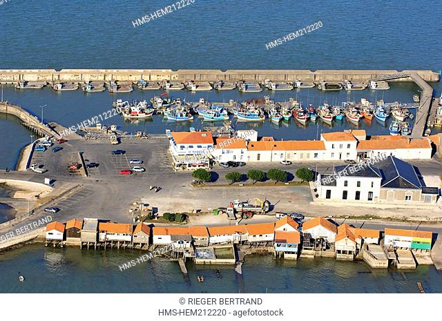 France, Charente Maritime, Marennes Oleron basin, Bourcefranc le Chapus, harbour aerial view