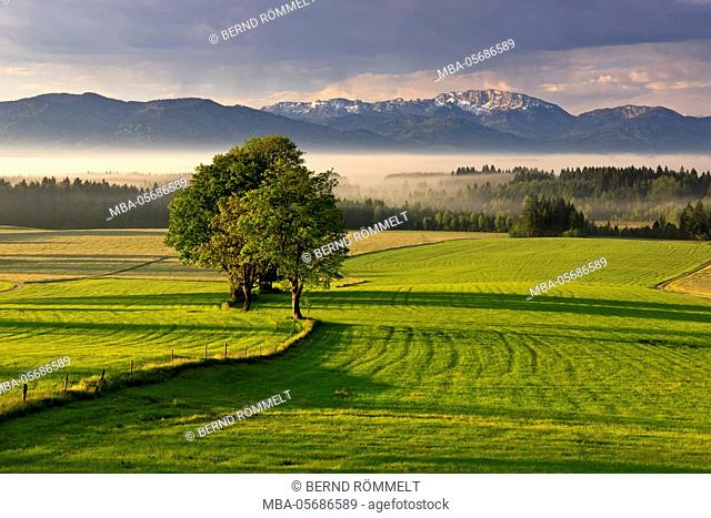Germany, Bavaria, Upper Bavaria, Tölzer country, Faistenberg, view at Zwiesel, Benediktenwand, Bavarian Alpine foothills