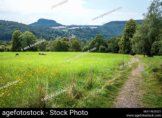 Hiking trail on the Malerweg in Saxony during the day in summer