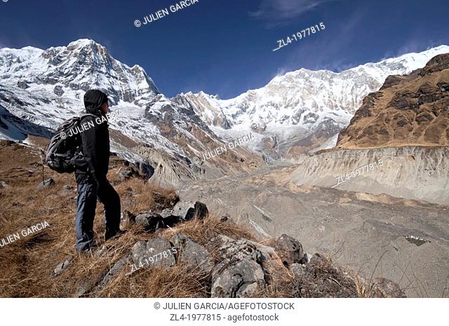 Trekker watching Annapurna 1, 8091m, from the base camp. Nepal, Gandaki, Annapurna, Annapurna Base Camp. Model Released