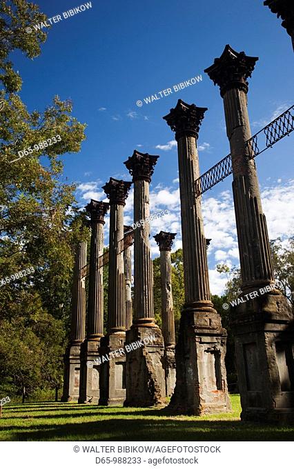 USA, Mississippi, Port Gibson-area, Windsor Ruins, standing columns from former plantation house