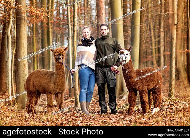 couple with Alpacas