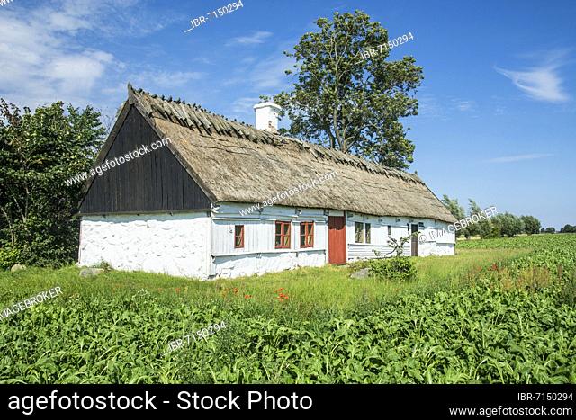 Örumshuset, an old farmhouse build about year 1800. Housing for the farmer and all his domestic animals. Museum building in Örum, Ystad community, Scania