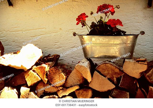 Firewood with flower bucket