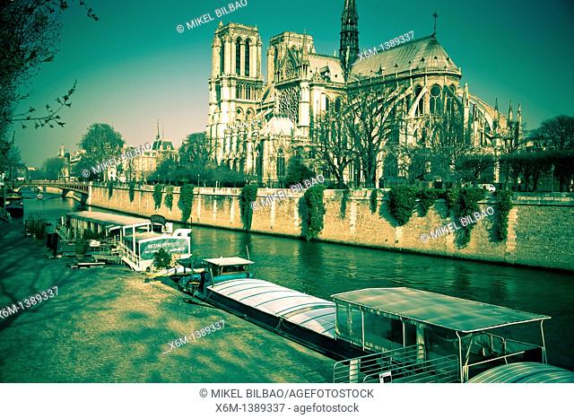 Notre Dame Cathedral and Seine river and tourist boat  Paris, France, Europe