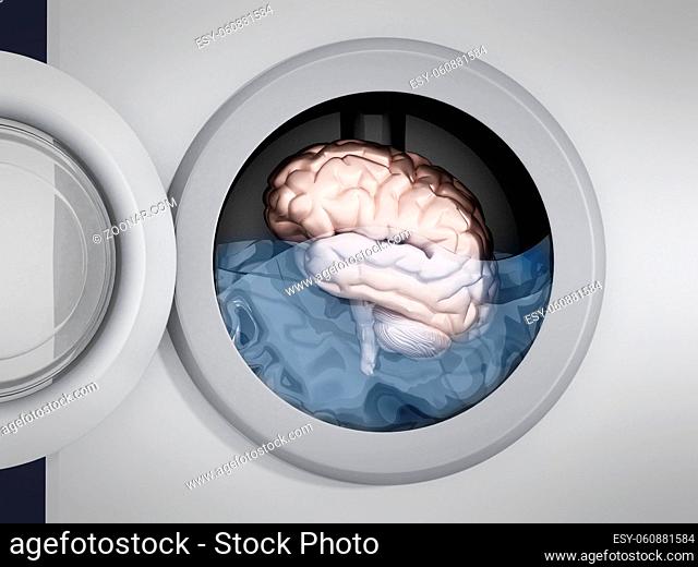 Brain being washed in washing machine. 3D illustration