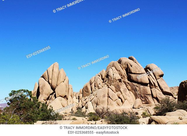 Unique rock formation with scrub brush, mesquite and yucca trees at the Jumbo Rocks Campground in Joshua Tree National Park, Twentynine Palms, California, USA