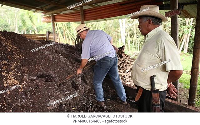 Workers handling the pulp of coffee, environmental action more important in the benefit of the land. At this stage it generates the most negative environmental...