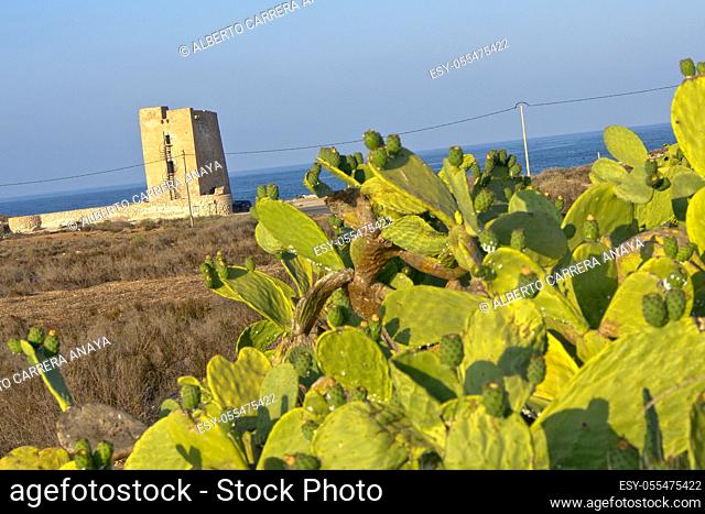 Cope Tower, XVI Century, Cabo Cope-Puntas del Calnegre Natural Park, Special Protected Bird Area, ZEPA, LIC, Mediterranean Sea, Region de Murcia, Murcia, Spain
