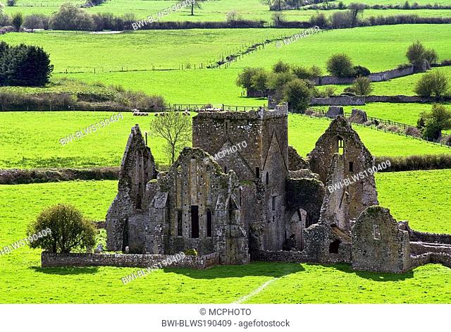 Hore Abbey near the Irish castle Rock of Cashel, Ireland