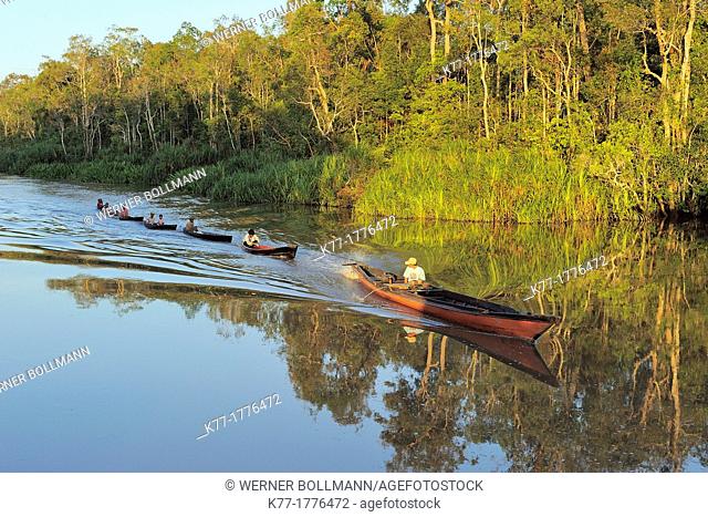 Fishermen on the Sekonyer River, driving home after fishing, Province Kalimantan, Borneo, Indonesia