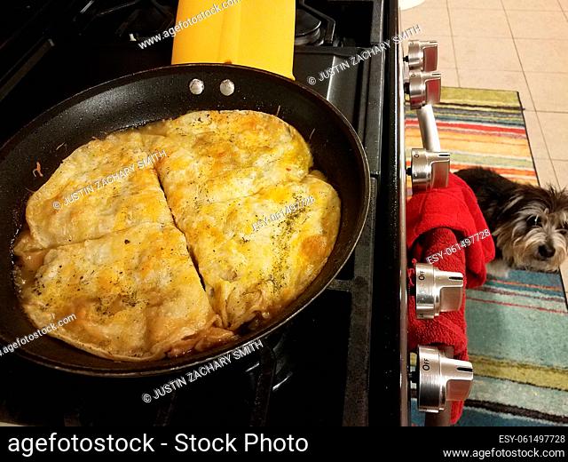 tortillas with cheese cooking in a frying pan or skillet on the stove with dog