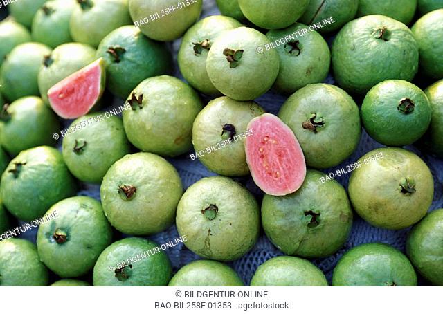 Guava fruits at a market in the Mekong delta near the city of Can Tho in sueden from Vietnam in southeast Asia