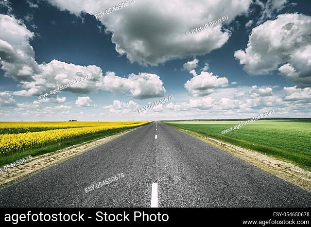 Open Asphalt Countryside Road Through Fields With Yellow Flowering Canola Rapecolza Canola In Spring. Sunny Day White Clouds On Blue Sky