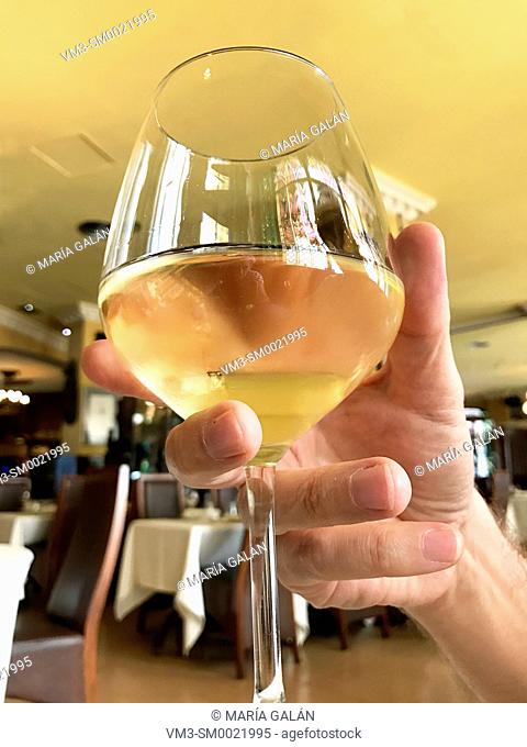 Man's hand holding a glass of white wine in a restaurant. Close view