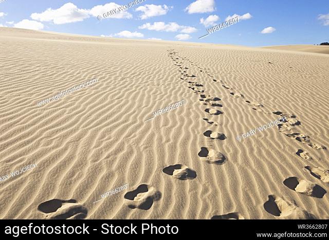 New Zealand, Footprints on Te Paki Sand Dunes