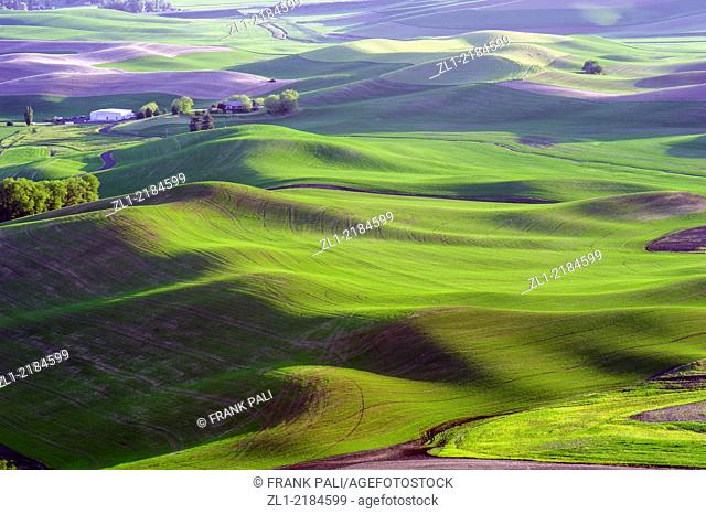 The Palouse Scenic Byway, located in the heart of the Palouse region in southeastern Washington, combines 208 miles of rolling hills and farmland with rich...