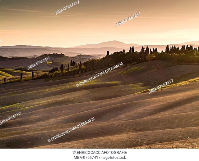 Autumnal landscape in the Tuscany near Siena, evening mood