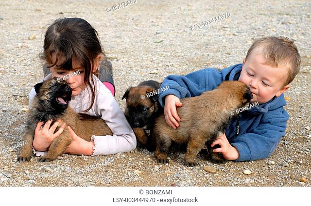 children and puppies