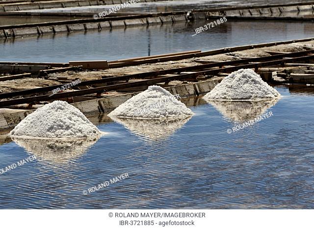 Salt production in a lagoon, Portorož, Slovenian Istria, Slovenia