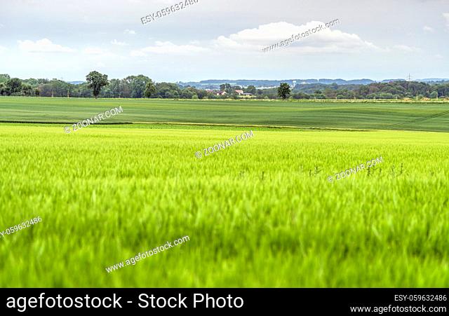 idyllic rural scenery in Hohenlohe, a area in Southern Germany