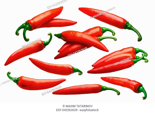 Paprika chile peppers (Capsicum annuum), ripe red. Clipping path for each