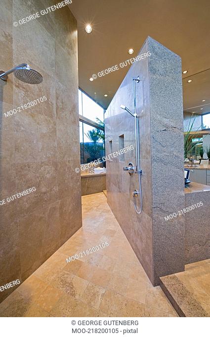 Walk-in shower of Palm Springs home
