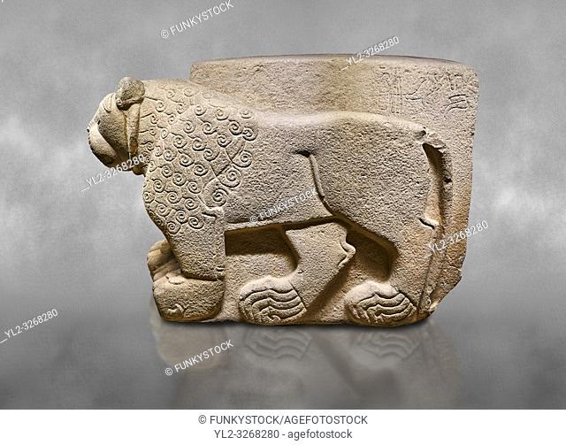 Hittite relief sculpted stone panel. Lion. Aslantepe Gate Limestone, Aslantepe, Malatya, 1200-700 B. C. Anatolian Civilisations Museum, Ankara, Turkey