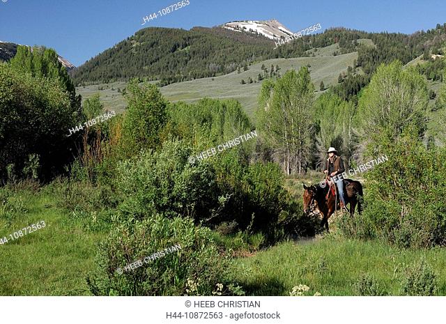 Guests Horseback riding, Red Rock Ranch, Guest Ranch, Bridger-Teton Wilderness, nature, Kelly, Wyoming, USA