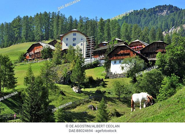 Viles (alpine huts) in Misci, grazing pony, St Martin in Thurn, Badia valley, Dolomites, Trentino-Alto Adige, Italy