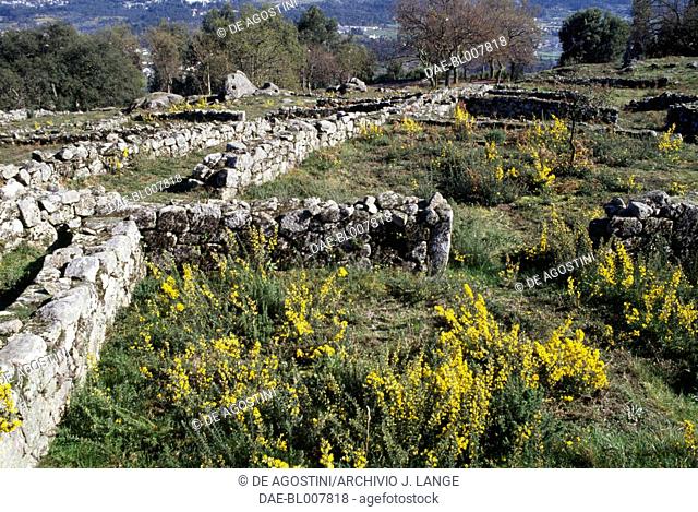 Ruins of the houses in Citania de Briteiros, Minho, Portugal, Iron Age