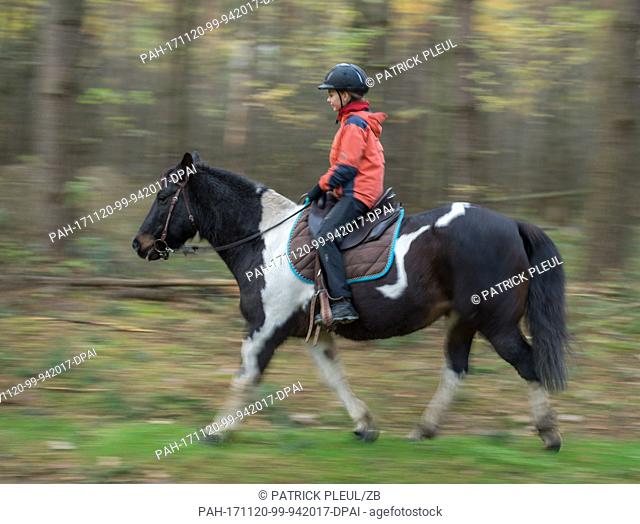 Eleven-year-old Amy rides on pony Gipsy through a forest in Sieversdorf, Germany, 19 November 2017. Photo: Patrick Pleul/dpa-Zentralbild/ZB