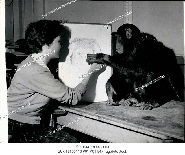 Mar. 02, 2012 - Sally Helps The Artist: Sally the chimp tries to lend art student Marion Latter a hand with his portrait on which she has been working