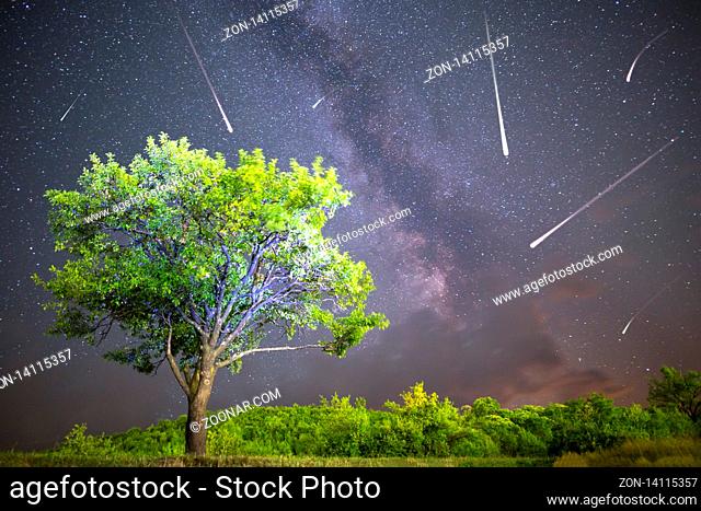 A view of a Meteor Shower and the Milky Way. Green plum tree with plums high in the mountain in the foreground. Night sky nature summer landscape
