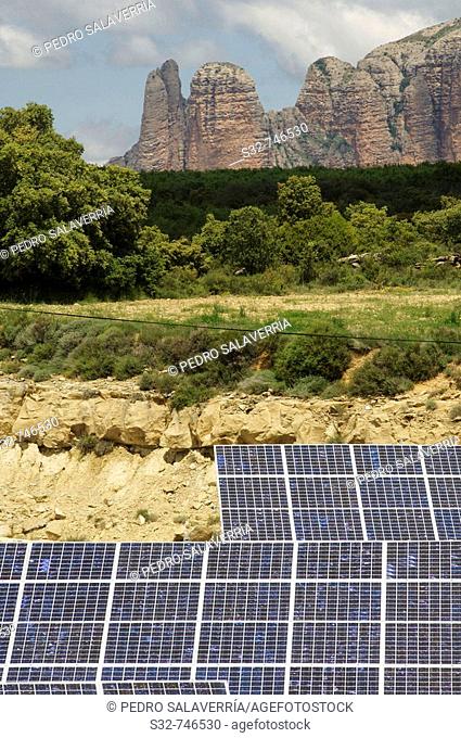 Paneles solares (al fondo Mallos de Riglos); Ayerbe; Comarca de la Hoya de Huesca; Huesca; Aragón; España