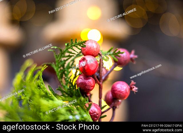 16 December 2023, Brandenburg, Leuthen: Sprigs of firethorn lie on a stall at a small Advent market. Advent and Christmas markets are also held in many German...