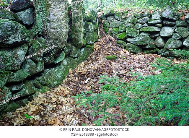 The Meader Farm home site cellar hole along Sandwich Notch Road in Sandwich, New Hampshire USA. During the early nineteenth century
