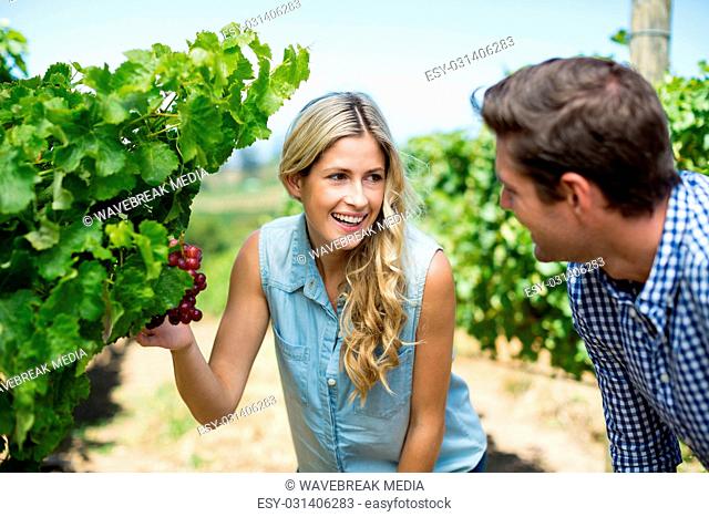Happy couple looking at grapes growing at vineyard