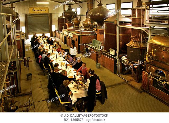 Meal in the distillery of the Samalens armagnac estate, at Laujusan, Gers, Midi-Pyrenees, France