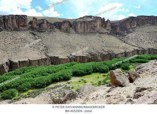Green river valley, Rio Pinturas Canyon, near Perito Moreno, province of Santa Cruz, Patagonia, Argenitinien