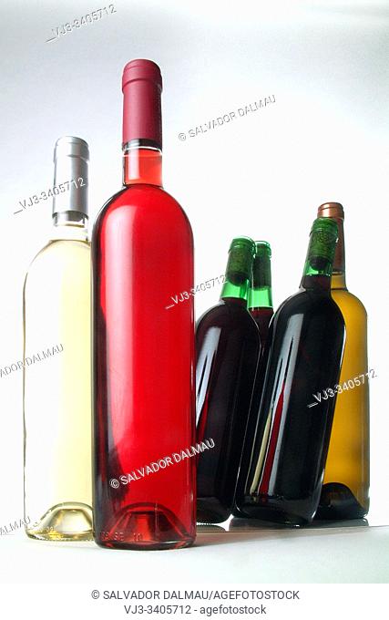 wine bottles bodegon, location girona, catalonia, spain