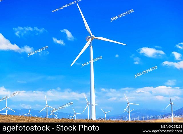 Windmills, Tarifa, Costa de La Luz, Cadiz Province, Andalusia, Spain, Europe